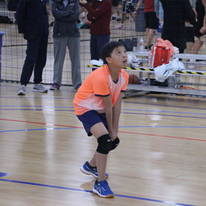 Volleyball